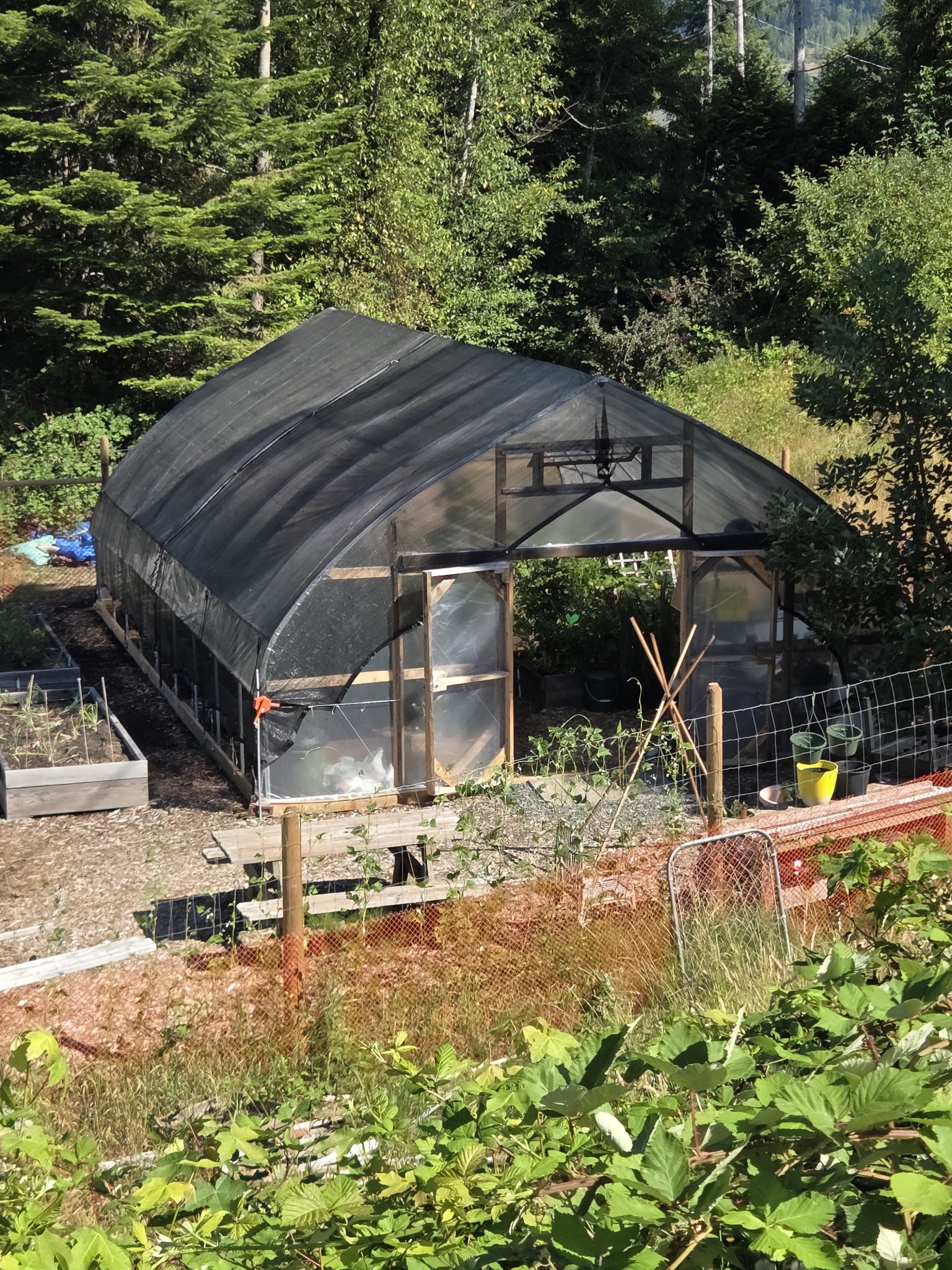 Greenhouse and growing beds at Cowichan Lake Community Garden